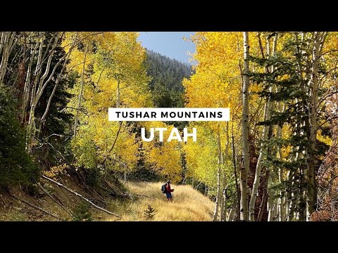 Hiking 80km Across Utah's Tushar Mountains