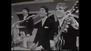 The Dave Clark Five - Do You Love Me