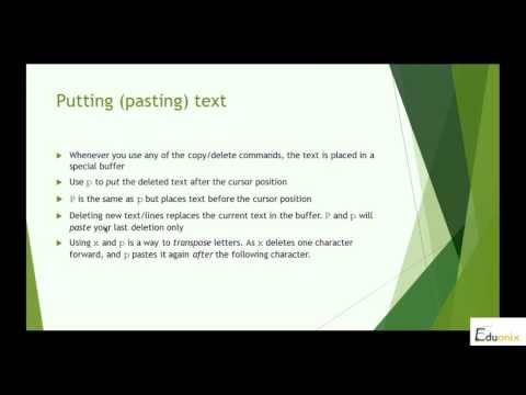 Copy and Paste Operations