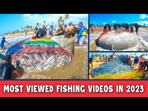 I 03 video di pesca più visti nel 2023 I Video di pesca incredibili