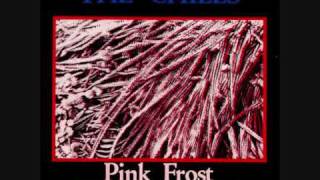 The Chills   Pink Frost