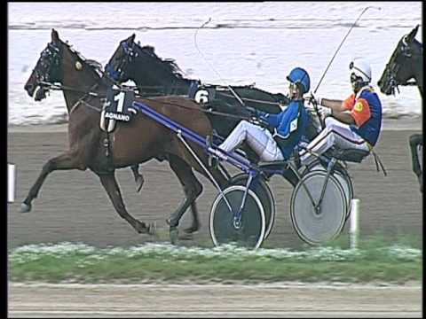 Trotto 02/10/2016 - 3ª corsa