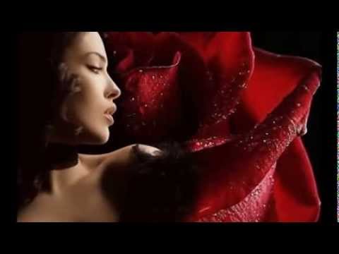 Ruža crvena   -  Agrameri