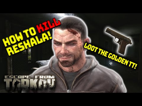 How to Kill Reshala - Budget Friendly Setup - Escape from Tarkov