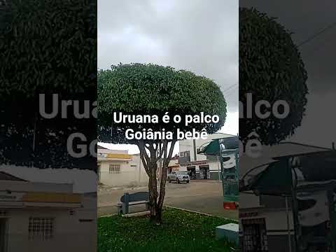 Goiânia Uruana terra da melancia