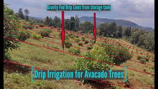 Ram Pump Drip Irrigation Kenya With Google Earth Surveys
