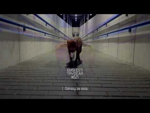 ESTI - ODRAZY ZE SKLA  prod.TRYDEAR