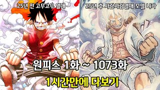 [원피스 요약] 원피스 1화 ~ 1073화 1시간만에 다보기