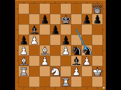 Fatalni udar nezadrživog Skakackog para 🐎🐎💥💥💥 MACZYNSKI vs PRATTEN #3038