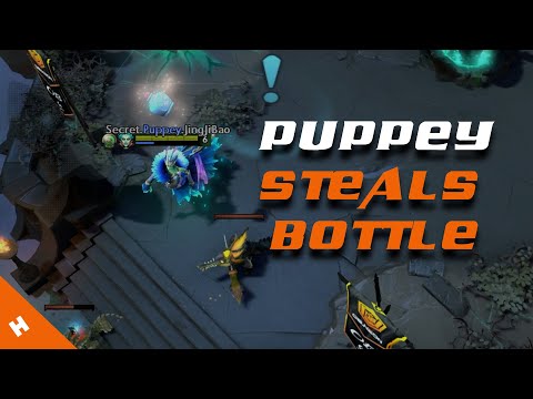 Puppey stole bottle from OB Neon