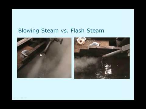 Lesman Webinar: Steam Traps 101: Basic Technology and Applications
