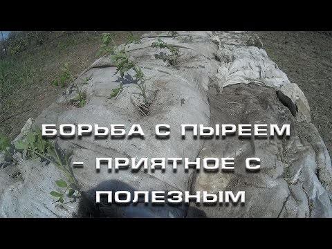 Лечение остеохондроза медом отзывы От чего может болеть поясница и тянуть ногу
