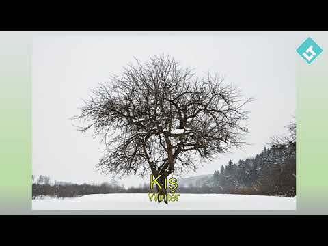 Learn Turkish & Days Months and Seasons