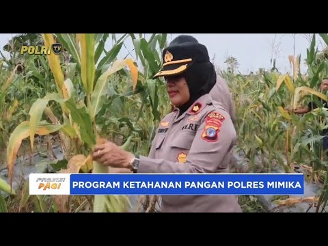 PANEN JAGUNG PROGRAM KETAHANAN PANGAN POLRES MIMIKA