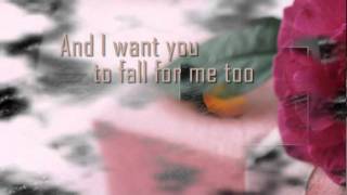 FALL FOR YOU LYRICS - Shanice