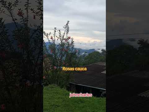 una bonita vista en ROSAS CAUCA
