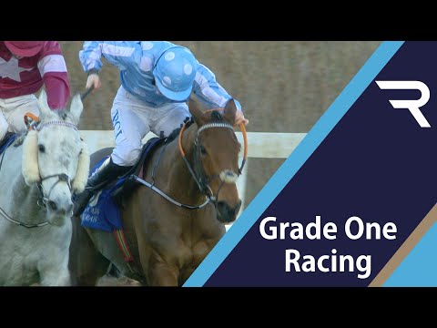 2020 PCIアイリッシュチャンピオンハードル - レーシングTV (2020 PCI Irish Champion Hurdle - Racing TV)