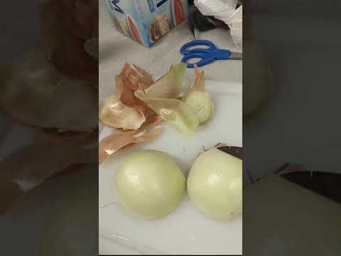 mi pali e pan pi waso pi kili laso - toki pona