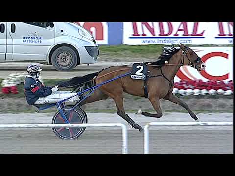 Napoli Trotto 05/02/2023 - 7ª corsa