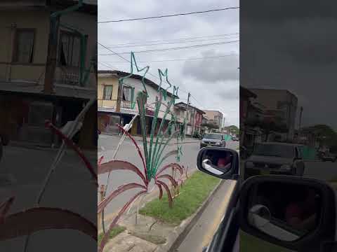 Caicedonia Valle del Cauca #colombia