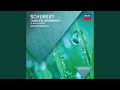 Schubert: 4 Impromptus, D. 899 (Op. 90) : No. 3 in G-Flat Major. Andante