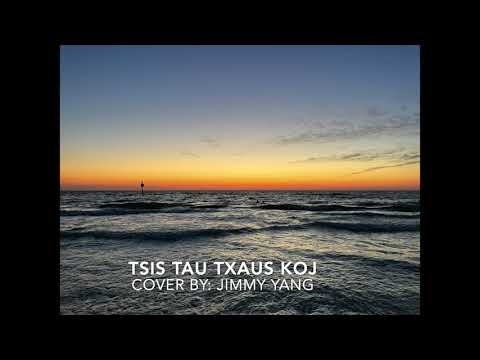 Tsis Tau Txaus Koj: Cover by Jimmy Yang