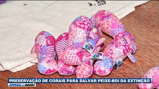 Miniatura do vídeo