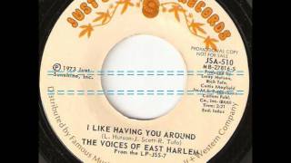 I Like Having You Around  -  The Voices Of East Harlem
