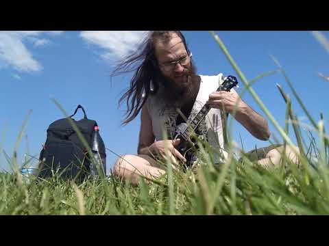 Aeropyornis - Legalisera