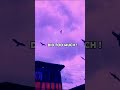 No Idea Lyrics Video Lyrics Song