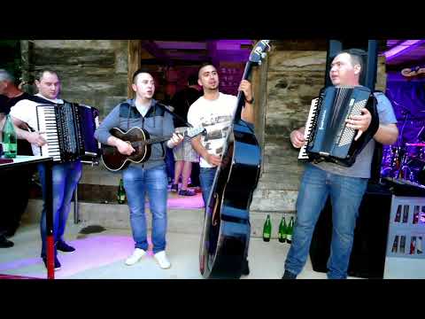 RAJZERI  I   STARI ČEČENAC  BELASA       Još jednu putnu