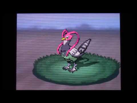 Pokémon Black 2 (Nuzlocke) Ep 54 Whoops, No Intro!