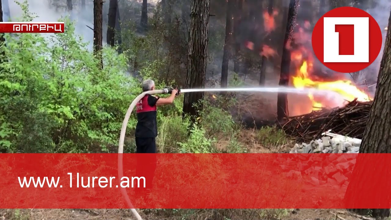 Эрдоган объявил пострадавшие от лесных пожаров регионы зоной бедствия