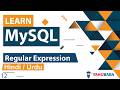 MySQL Regular Expression Tutorial In Hindi Urdu