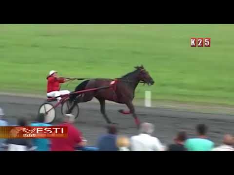 Kasačke trke u Despotovu