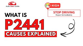 OBD Code p2441 Guide to Repair