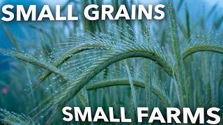 The Big Potential of Small Grain Growing With Iriel Edwards and Myles Gaines