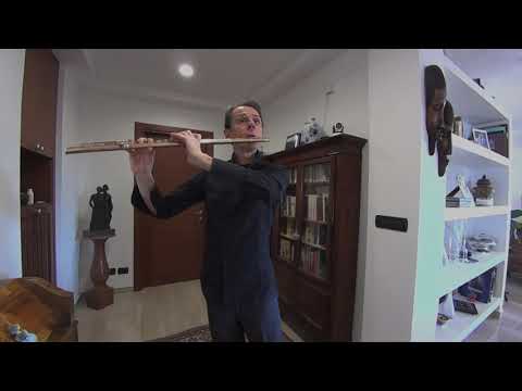 Giampaolo Pretto: The Quarantine Microconcerts - 12 - G. P. Telemann: Fantasia nr. 8 in e minor HD