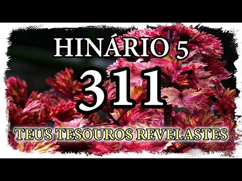 HINO CCB 311 - TEUS TESOUROS REVELASTES (GILSON XAVIER)