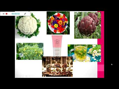 Flores/ Morfologia floral