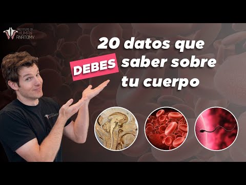 20 CURIOSIDADES que no conocías sobre el CUERPO HUMANO