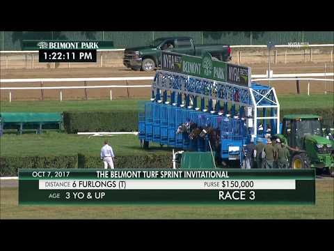Disco Partner - 2017 Belmont Turf Sprint Invitational en Espanol