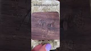 Affordable antler rings ❤️ #uniqueengagementrings #altjewelry #antlers #jewelry