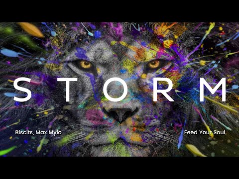 Biscits, Max Mylo - Feed Your Soul