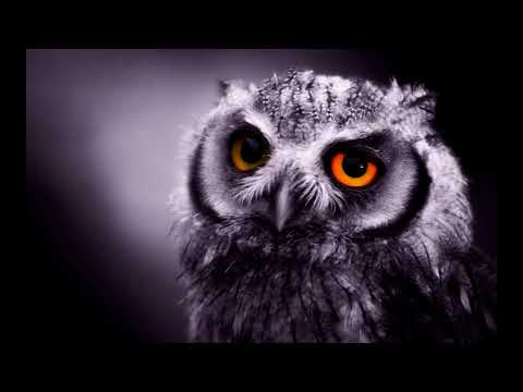 Energy Minimal Set - CORNER, DROPLEX, DANI ROW, MARK DEKODA, CHAPELEIRO and more!