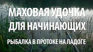 Маховая удочка как выбрать