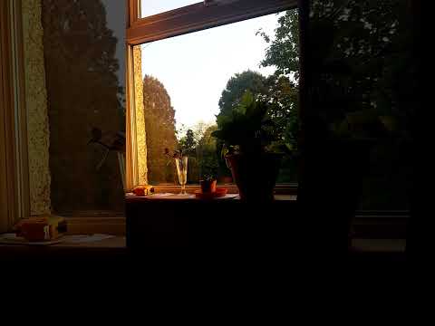 Unfinished symphony volca drum/fm + TD3 (2)