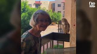 98-летняя Бабушка Подружилась с Дикой Птицей, Думая, Что Это Душа Ее Мужа