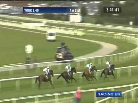 2011 Juddmonte International Stakes - Twice Over / Midday