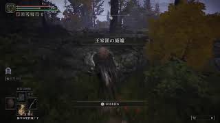 【ELDEN RING】初見エルデン楽しみます【エルデン リング】#16